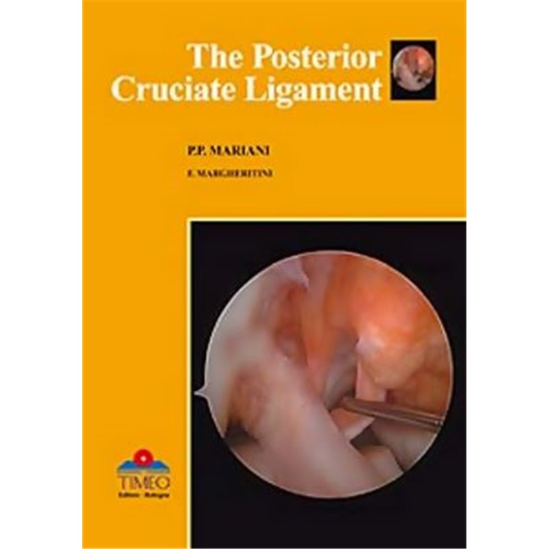 The Posterior Cruciate Ligament